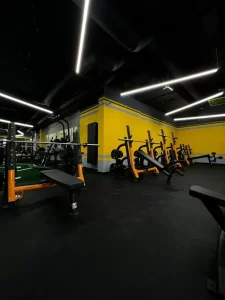 Stay Fit Gym Iași Palas Campus