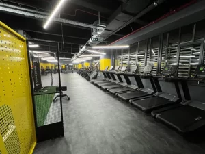 Stay Fit Gym - Buzău Central