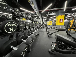 Stay Fit Gym - Buzău Central