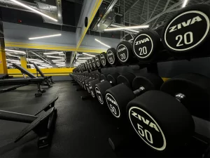 Stay Fit Gym - Alba Iulia Carolina Mall