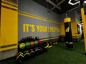 Stay Fit Gym - Alba Iulia Carolina Mall