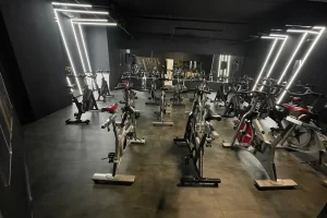 Stay Fit Gym - Pantelimon București