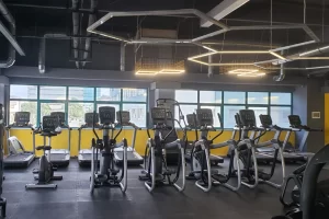 Stay Fit Gym - Pipera București