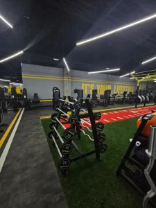 Stay Fit Gym - Moșnița Timișoara