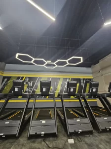 Stay Fit Gym - Moșnița Timișoara