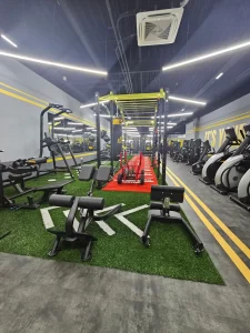 Stay Fit Gym - Moșnița Timișoara