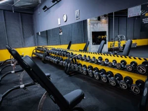 Stay Fit Gym - Cocor București