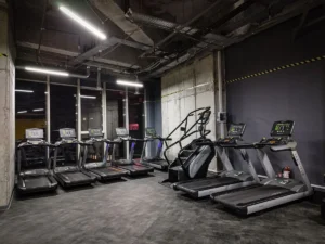 Stay Fit Gym - Cocor București