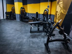 Stay Fit Gym - Cocor București