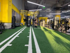 Stay Fit Shopping City Galați