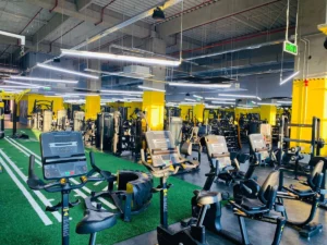 Stay Fit Shopping City Galați