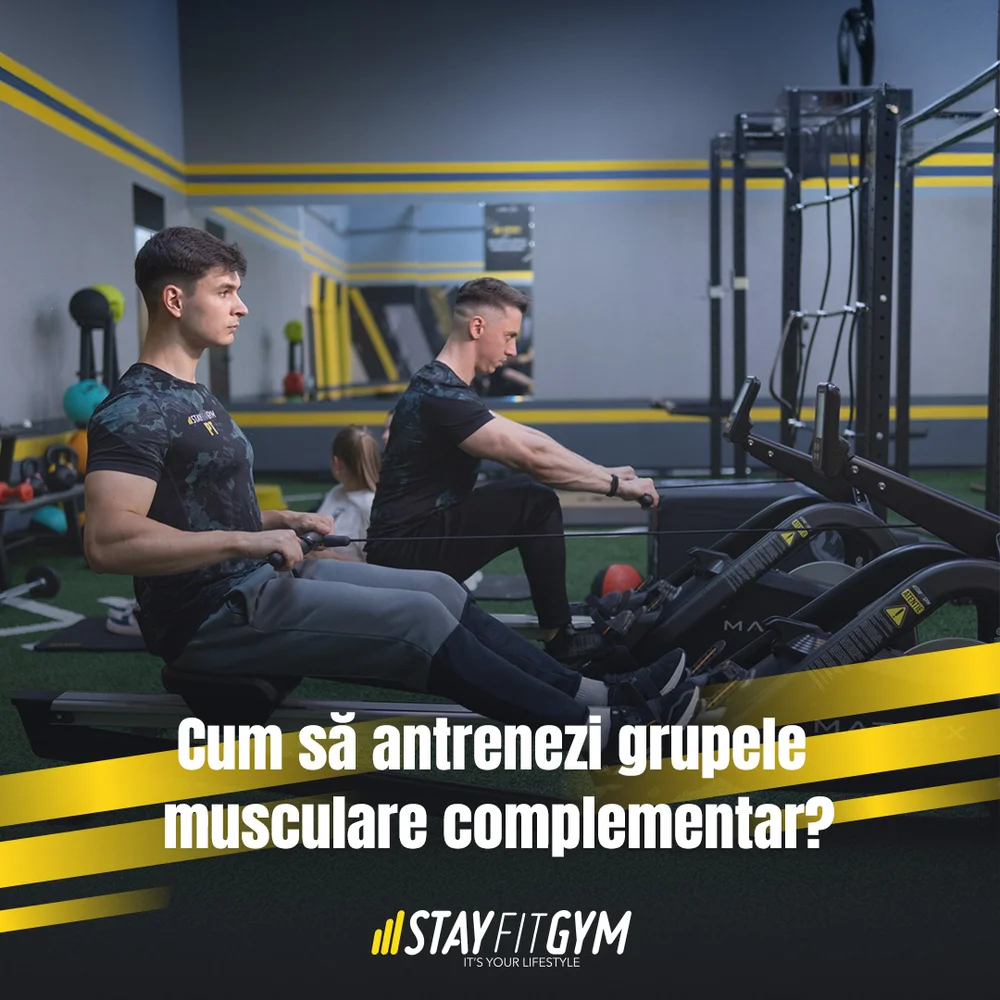 Cum să antrenezi grupele musculare complementar - metoda PUSH PULL LEGS