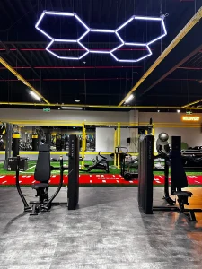 Stay Fit Gym Arad Vladimirescu