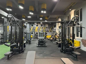 Stay Fit Gym Teiul Doamnei