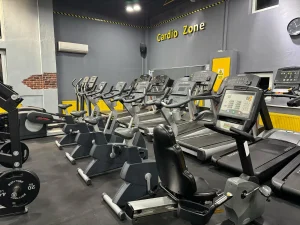 Stay Fit Gym Teiul Doamnei