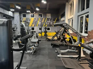 Stay Fit Gym Teiul Doamnei