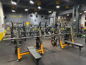 Stay Fit Gym Teiul Doamnei