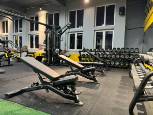 Stay Fit Gym Teiul Doamnei