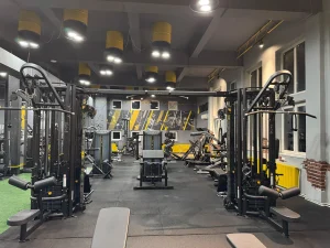 Stay Fit Gym Teiul Doamnei