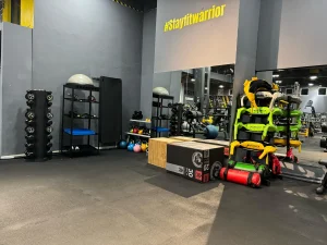 Stay Fit Gym Teiul Doamnei