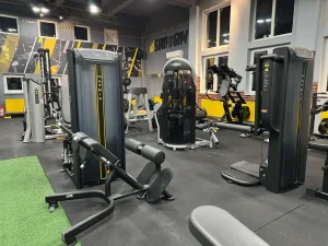 Stay Fit Gym Teiul Doamnei