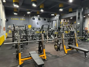Stay Fit Gym Teiul Doamnei