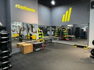 Stay Fit Gym Teiul Doamnei