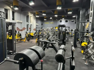 Stay Fit Gym Teiul Doamnei