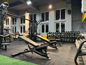 Stay Fit Gym Teiul Doamnei