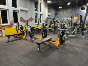 Stay Fit Gym Teiul Doamnei