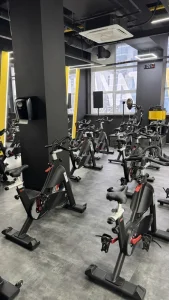 Fitplay Stay Fit Gym