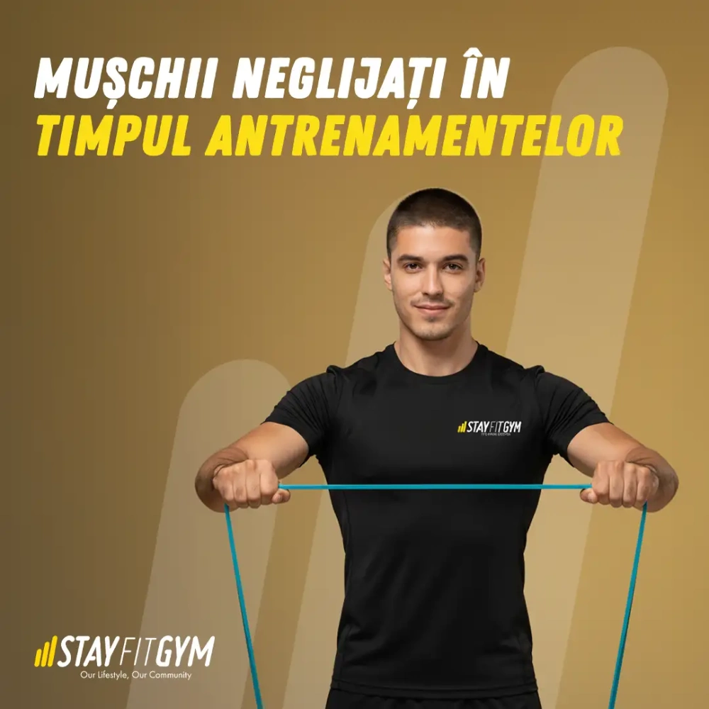 CEI MAI NEGLIJAȚI MUȘCHI ÎN TIMPUL ANTRENAMENTELOR